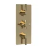 Hudson Reed Tec Pura Plus Triple Concealed Thermostatic Shower Valve - Brushed Brass -Home Bathroom a8003l
