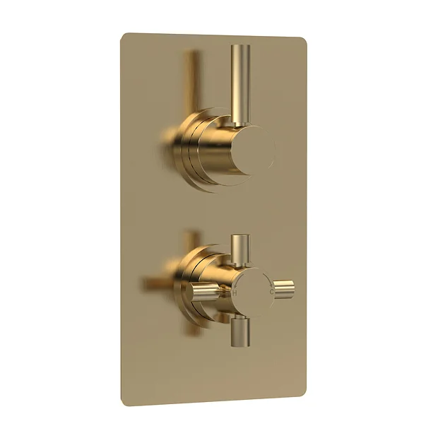 Hudson Reed Tec Pura Concealed Twin Shower Valve With Built-in Diverter - Brushed Brass 3 Hudson Reed Tec Pura Concealed Twin Shower Valve With Built-in Diverter - Brushed Brass