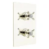 Bristan - 1901 Thermostatic Recessed Dual Control Shower Valve - Gold 1 Bristan - 1901 Thermostatic Recessed Dual Control Shower Valve - Gold -Home Bathroom n2shcvog l