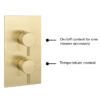 Arezzo Brushed Brass Round Shower Package With Concealed Valve + 300mm Head 1 Arezzo Brushed Brass Round Shower Package With Concealed Valve + 300mm Head -Home Bathroom rd3bbpk detail4