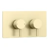 Arezzo Brushed Brass Twin Concealed Shower Valve Inc. 300mm Head + Ceiling Mounted Arm -Home Bathroom rd3bbpkcm detail4