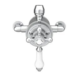 Trafalgar Traditional Dual Exposed Thermostatic Shower Valve -Home Bathroom tsv11nd1